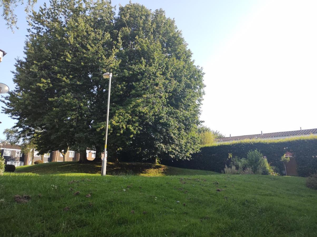 Homestay Near A Station And Park Birmingham Zewnętrze zdjęcie